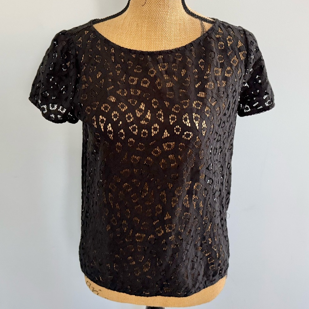 LOFT Lacy Short Sleeve Top